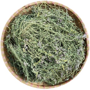 野生苦地丁全草天然晒干500g克非紫花地丁正宗优质中药材草药打粉