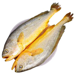 大黄花鱼新鲜冷冻深海大黄鱼深海鱼年货生鲜鲜活小黄鱼鲞商用整箱