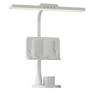 眼护士台灯护眼学习专用防近视国AA儿童学生写字阅读书桌充电台灯