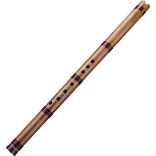 古风箫迷你短箫CD调金属萧乐器箫通口箫八孔苦竹洞箫风水成人初学