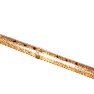 有风堂高档专业初学者洞箫乐器萧紫竹素长短八孔通口演奏入门gf调