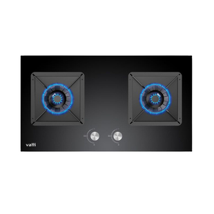 华帝燃气灶i10059B煤气灶双灶家用嵌入式灶台天然气炉灶液化气灶