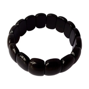 天然奇石三叶虫原石树叶菊石树化石木化玉黑冰透红光精品手串2985