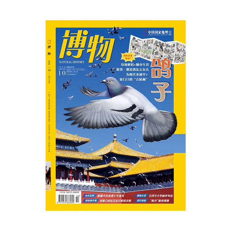 【2026年10月鸽子】博物杂志2026年10月/2025年1-12月/中国国家地理青少年版学生百科全书植物美食专题科学探索动植物科普百科