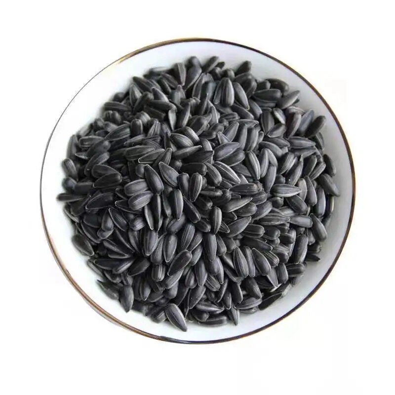油葵黑珍珠小瓜子鹦鹉鸟食仓鼠粮