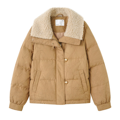 亦白高级压绉肌理保暖短款羽绒服