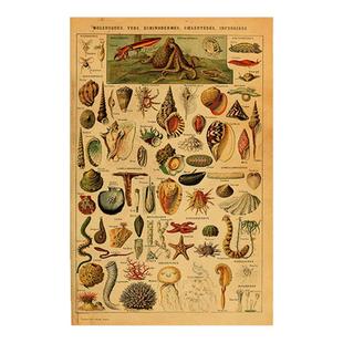 鱼类海洋生物图谱 壁纸教育水产店鱼类大全超大装饰画墙贴鱼竿店