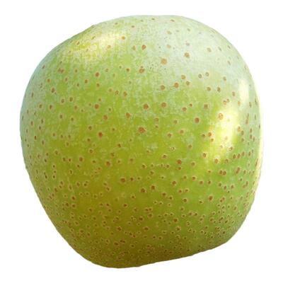 王林苹果新鲜采摘大果