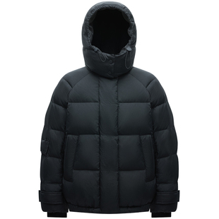 LINCCHIC金羽杰羽绒服女款冬季新款泡芙感短款羽绒服女Y24802219