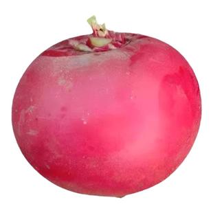 东北农家自种新鲜蔬菜当季大红萝卜圆红皮白心红袍雌性甜脆辣萝卜