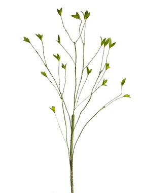 【掬涵】仿真小叶藤蔓pe树枝花卉