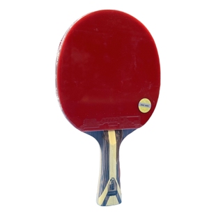 红双喜9星级乒乓球拍九星黑檀芳碳专业级碳素板横拍H9002直拍9006