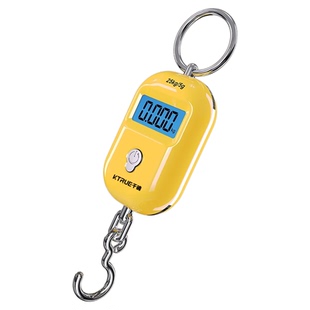 精准迷你手提电子秤高精度家用小型便携式吊秤弹簧秤钩称行李称克