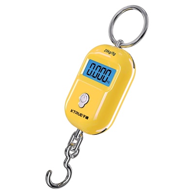 千确手提电子秤便携式弹簧秤精准