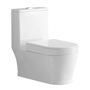 蹲坐两用马桶一体式可蹲可坐虹吸式座便器双用蹲便器蹬坐厕二合一