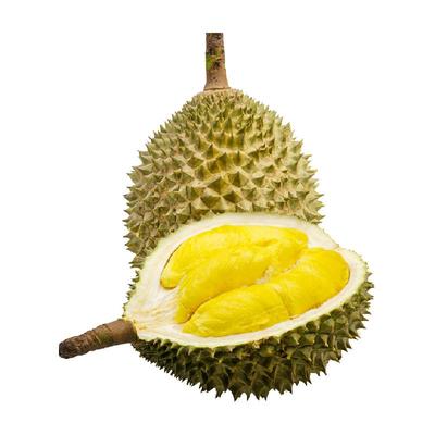 大马彭亨州马来西亚猫山王榴莲