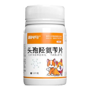 宠物猫咪狗狗消炎药头孢羟氨苄片泌尿感染皮肤病发炎耳朵中耳炎药