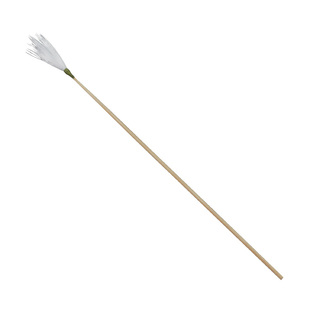 技师型专业采耳毛毛工具套装银针鹅毛棒竹柄鹤毛鸡毛打耳朵掏耳朵