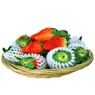 草莓新鲜水果西昌红颜99牛奶油味烘培商用大凉山糖葫芦冬现摘云南