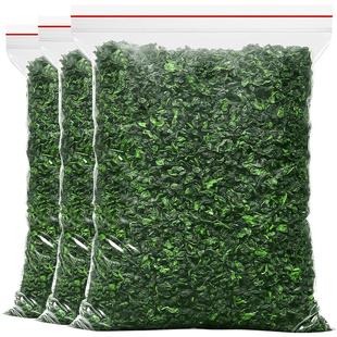 正宗安溪铁观音2025新茶叶特级清香型乌龙茶绿茶秋茶叶散装共500g