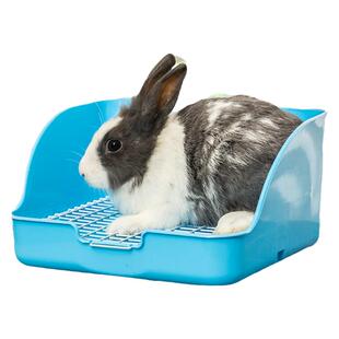 荷兰猪豚鼠专用厕所大号宠物小兔子拉屎便盆龙猫尿盆兔砂沙盆用品