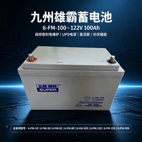 九州雄霸蓄电池6GFM100不间断电源12V100AH40A38A32A24A17AH现货