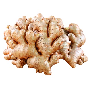 老姜生姜批发应季新鲜蔬菜姜正宗云南小黄姜土姜辛辣调味料月子姜