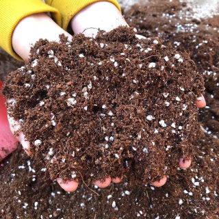 多肉植物专用营养土多肉土颗粒土铺面石纯颗粒虹彩石黄金麦饭石