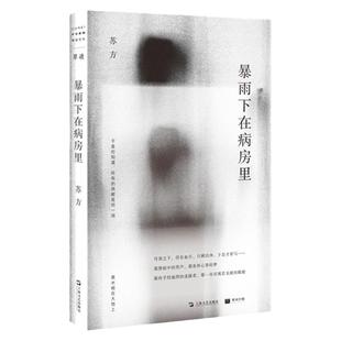 现货速发 暴雨下在病房里 单读系列苏方短篇小说集收录上海文艺出版社现当代文学 另著一些时刻/异乡记