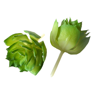 小清新色系仿真植绒多肉植物绿植家居装饰迷你摆件组合人造盆栽