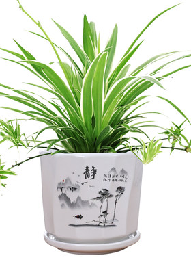 清仓特价中号简约风吊兰花盆陶瓷