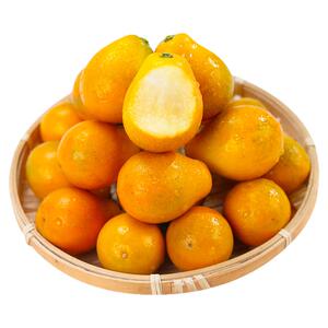 正宗脆蜜金柑丨第三代丨纯甜多汁