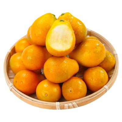 正宗脆蜜金柑丨第三代丨纯甜多汁