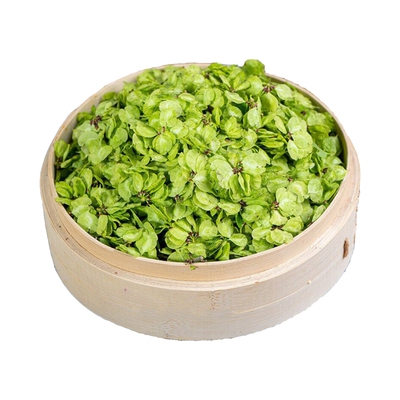 新鲜榆钱野菜现摘钱串子榆树花