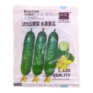 水果黄瓜种子四季好种阳台盆栽春秋季黄瓜种籽旱水果蔬菜黄瓜种孑
