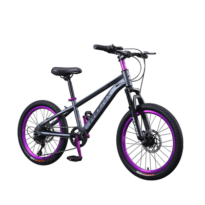 凤凰变速双碟刹男女款儿童山地车