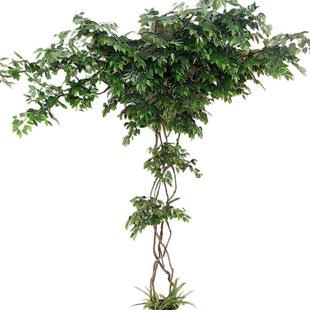仿真榕树叶大型假树枯藤条造型装饰树枝室内外包管道柱子吊顶绿植