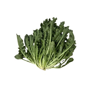 苏北新鲜雪里红雪菜雪里蕻农家蔬菜九头可腌制咸菜饭菜现摘批发