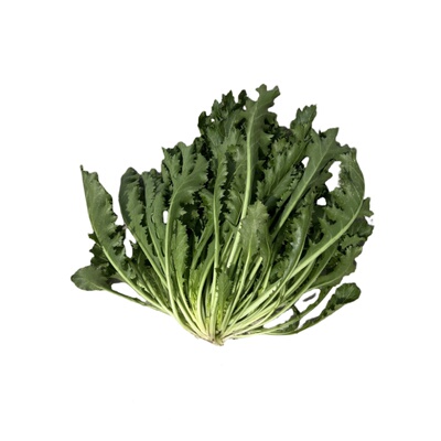 雪里红雪菜雪里蕻新鲜现摘现发