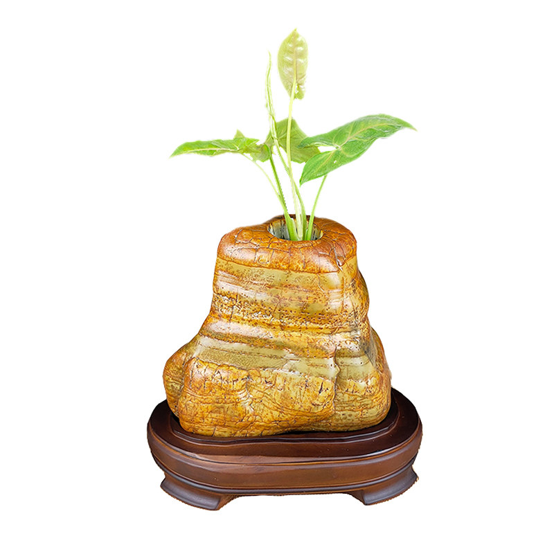 石头复古金钱草绿萝水培花器
