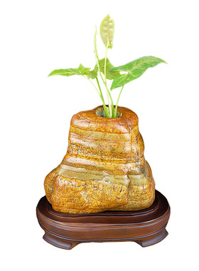 石头复古金钱草绿萝水培花器