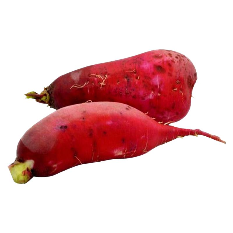 耐高温抗热杂交春夏菜园红萝卜