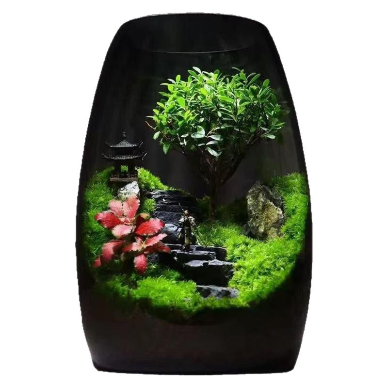 自循环生态瓶桌面微景观瓶精灵