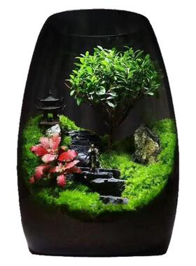 自循环生态瓶桌面微景观瓶精灵