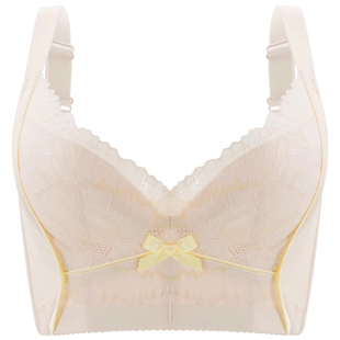 图薇娜调整型文胸聚拢收副乳上托下垂外扩6排扣高侧比美背薄内衣