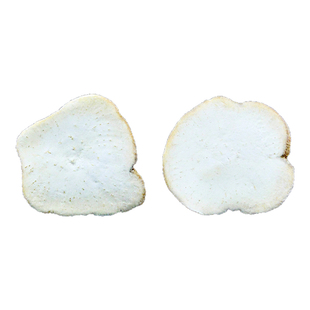 天花粉中药材静萱正品去皮天花粉药用瓜蒌根片栝篓根非野生栝楼根