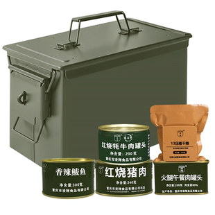 凌翔三防箱家庭防灾应急储备物资箱压缩干粮储备应急食品肉罐头