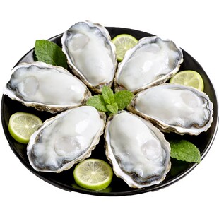 乳山生蚝鲜活10斤牡蛎海蛎子特大整箱批发5斤海鲜礼盒 官方旗舰店