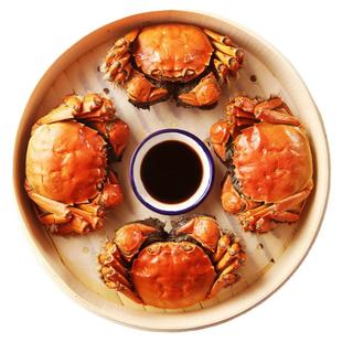 活蟹】12只2两全母残蟹固城湖大闸蟹鲜活螃蟹断脚蟹残蟹净重2.5斤