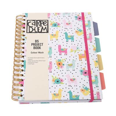 加厚烫金本PukkaPad大学生考研